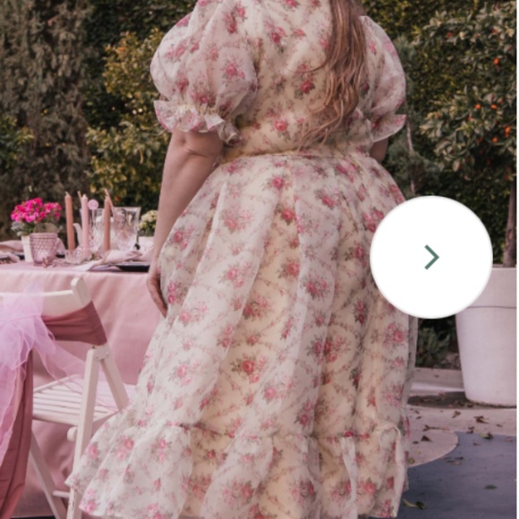 Jessakae Amelia Dress 4x NWT - Picture 4 of 6